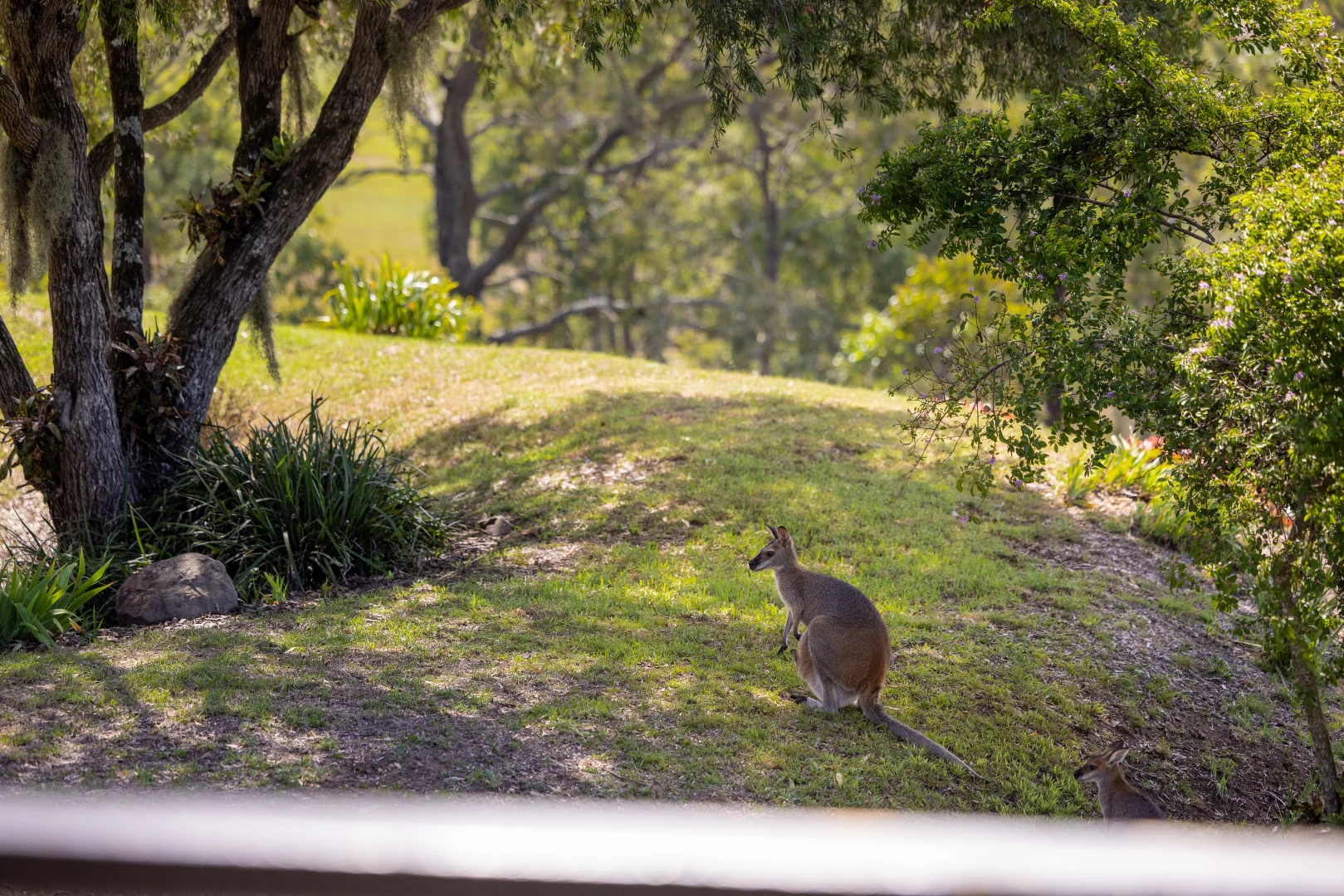 Additional image 5 of 97 Bulby Close, Wang Wauk NSW 2423