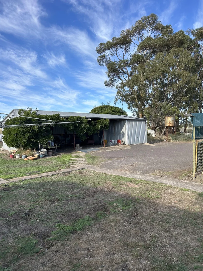 Image 12