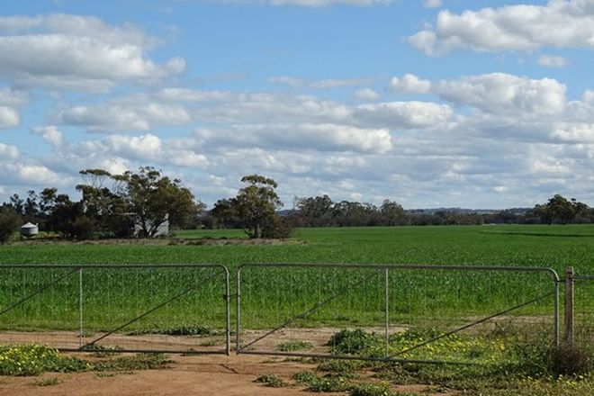 Picture of Lot 1 Rossmore Road, Goomalling, GOOMALLING WA 6460