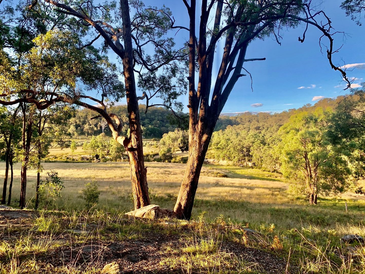 Lot 17 Putty Road, Howes Valley NSW 2330, Image 2