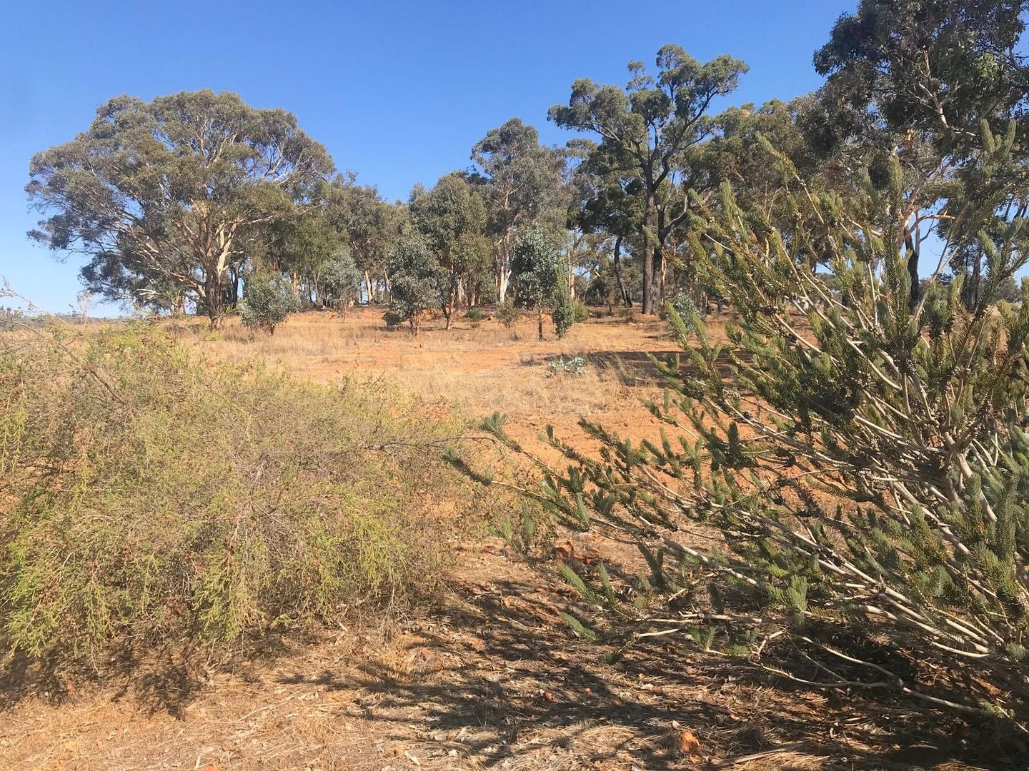 Lot 4 Mellows Road, Wandering WA 6308, Image 1