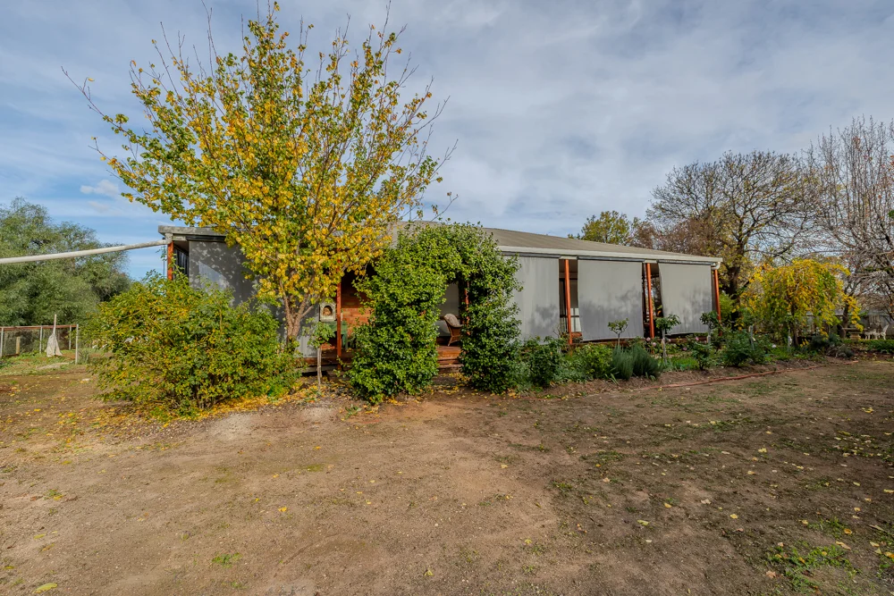 Image 21