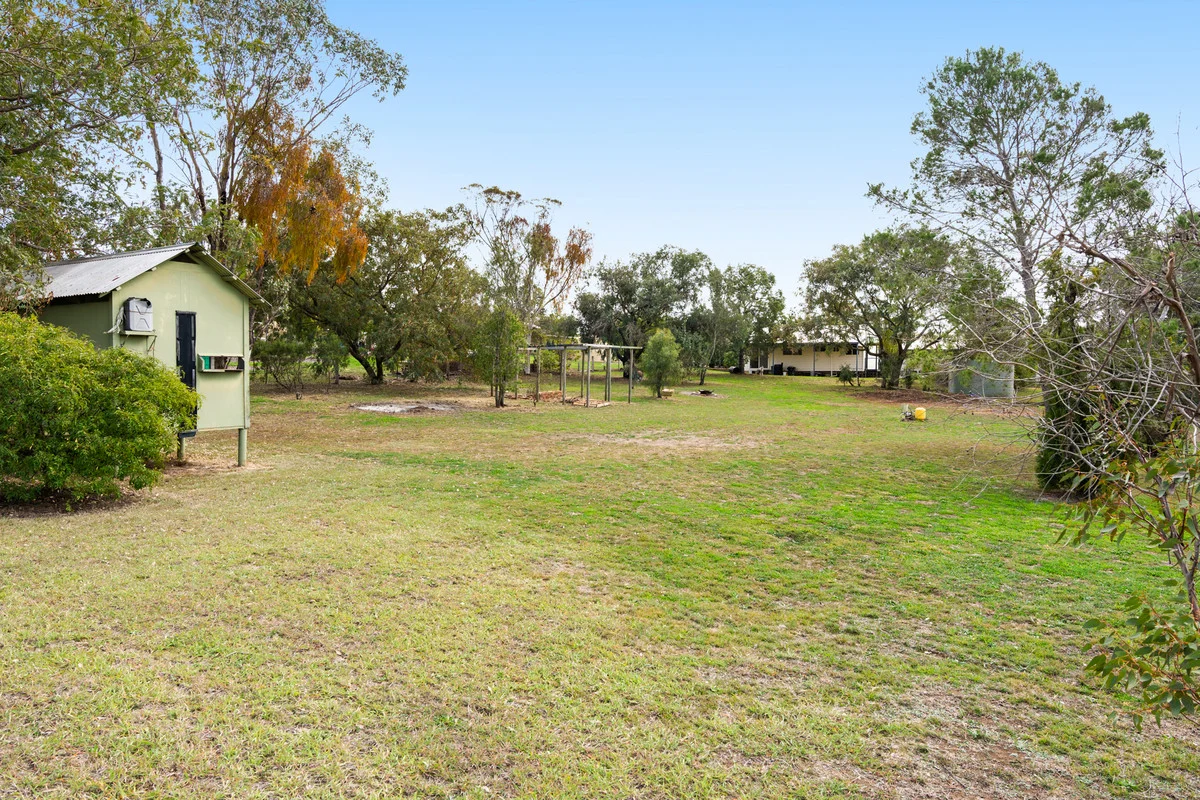 Image 19