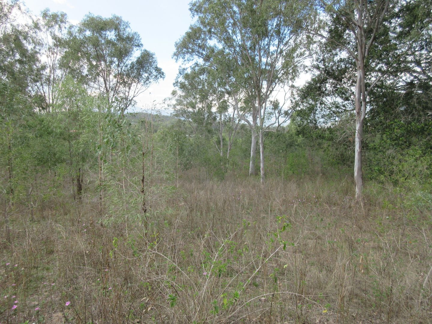 Lot/152 Hunter Street, Mount Perry QLD 4671, Image 2