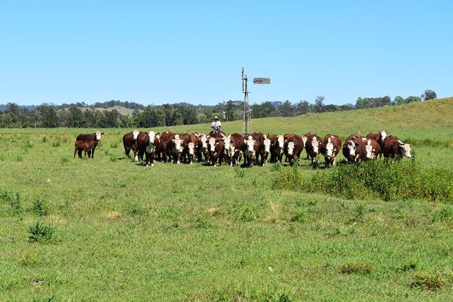 Picture of 135C Bungabbee Road, BUNGABBEE NSW 2480