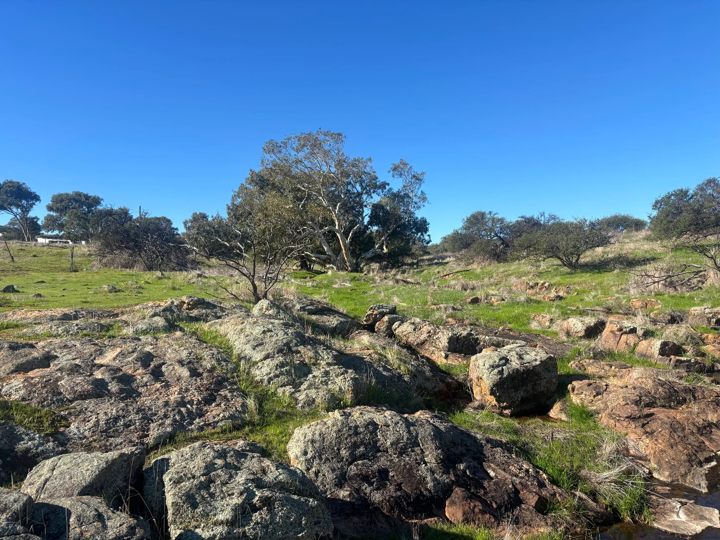Image 12