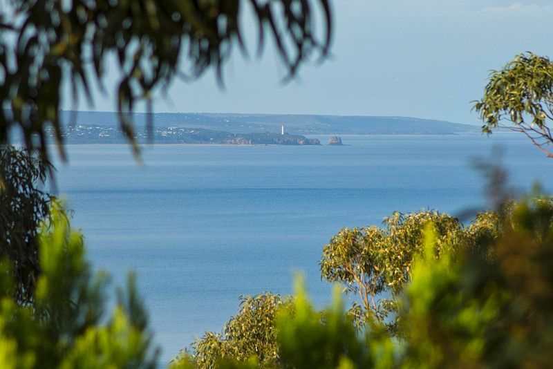 14 Wallace Street, Lorne VIC 3232, Image 1