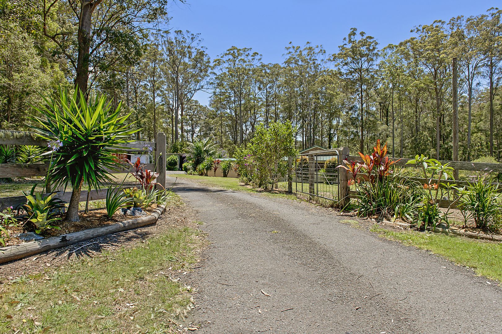 19 Jillalla Drive, King Creek NSW 2446, Image 2