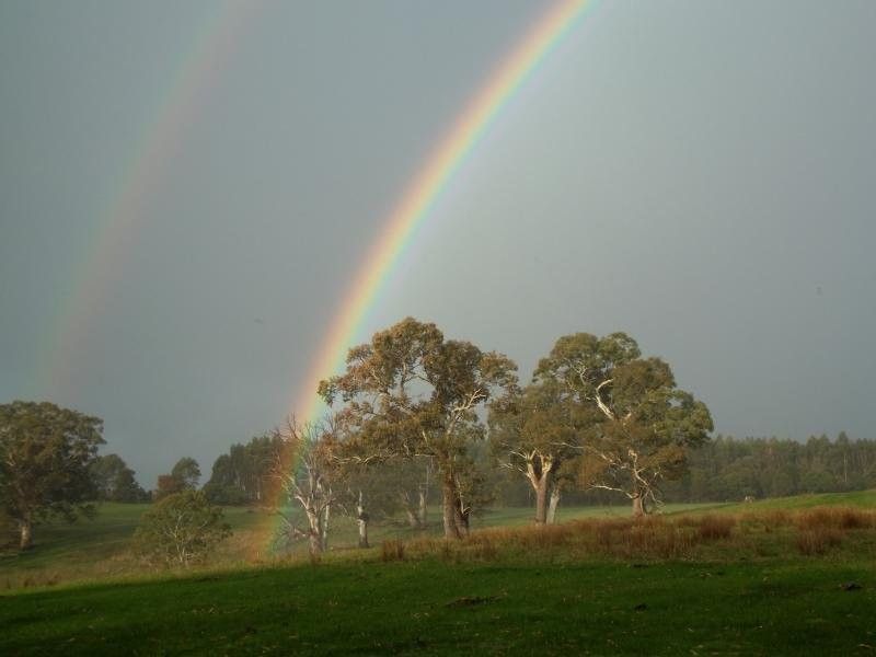 367 Smokey Creek Road, Chetwynd VIC 3312, Image 0