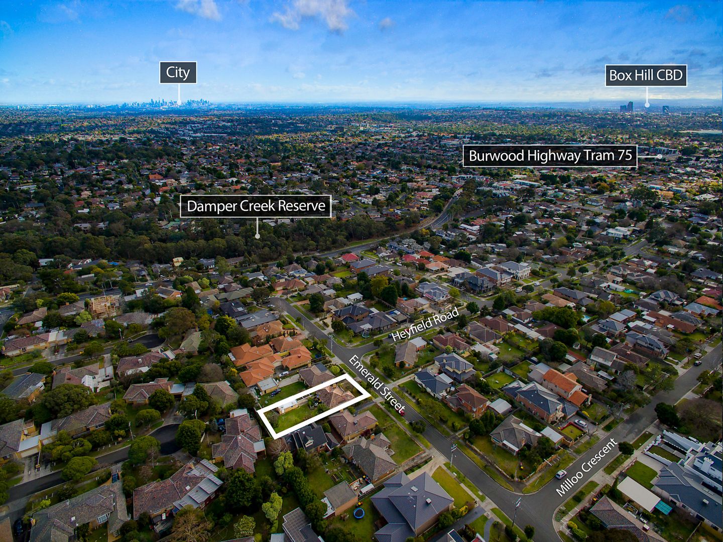 16 Emerald Street, Mount Waverley VIC 3149, Image 1