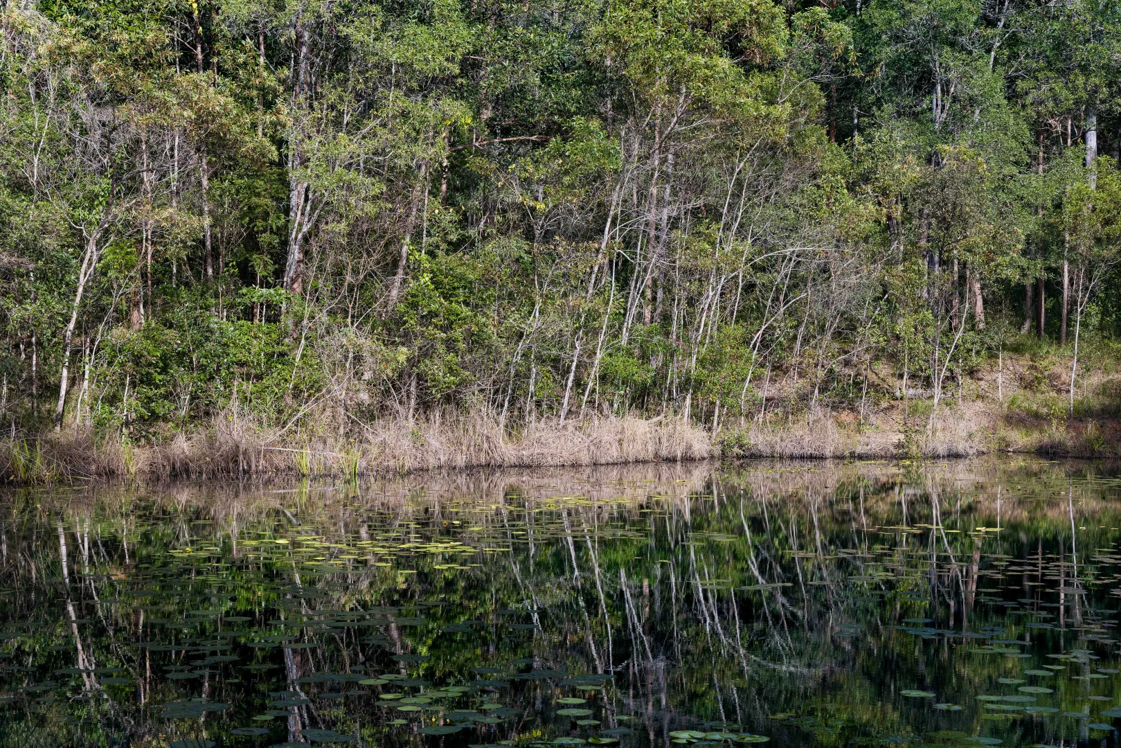 Image 18