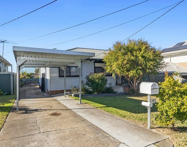 17 Hatfield Road, Canley Heights NSW 2166