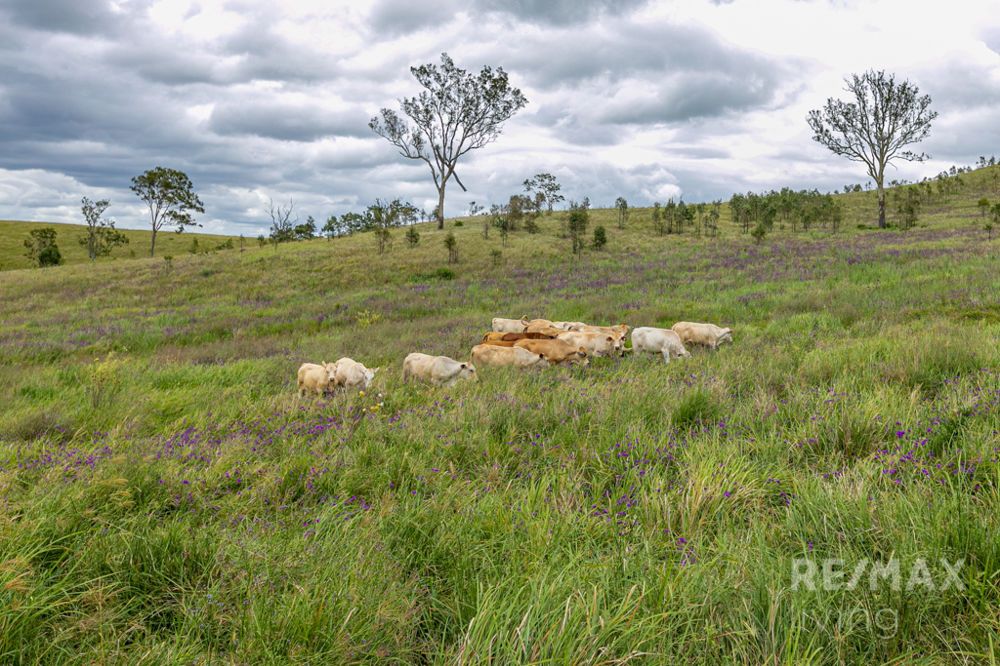 Lot 38 Spring Creek Road, Harlin QLD 4314, Image 1