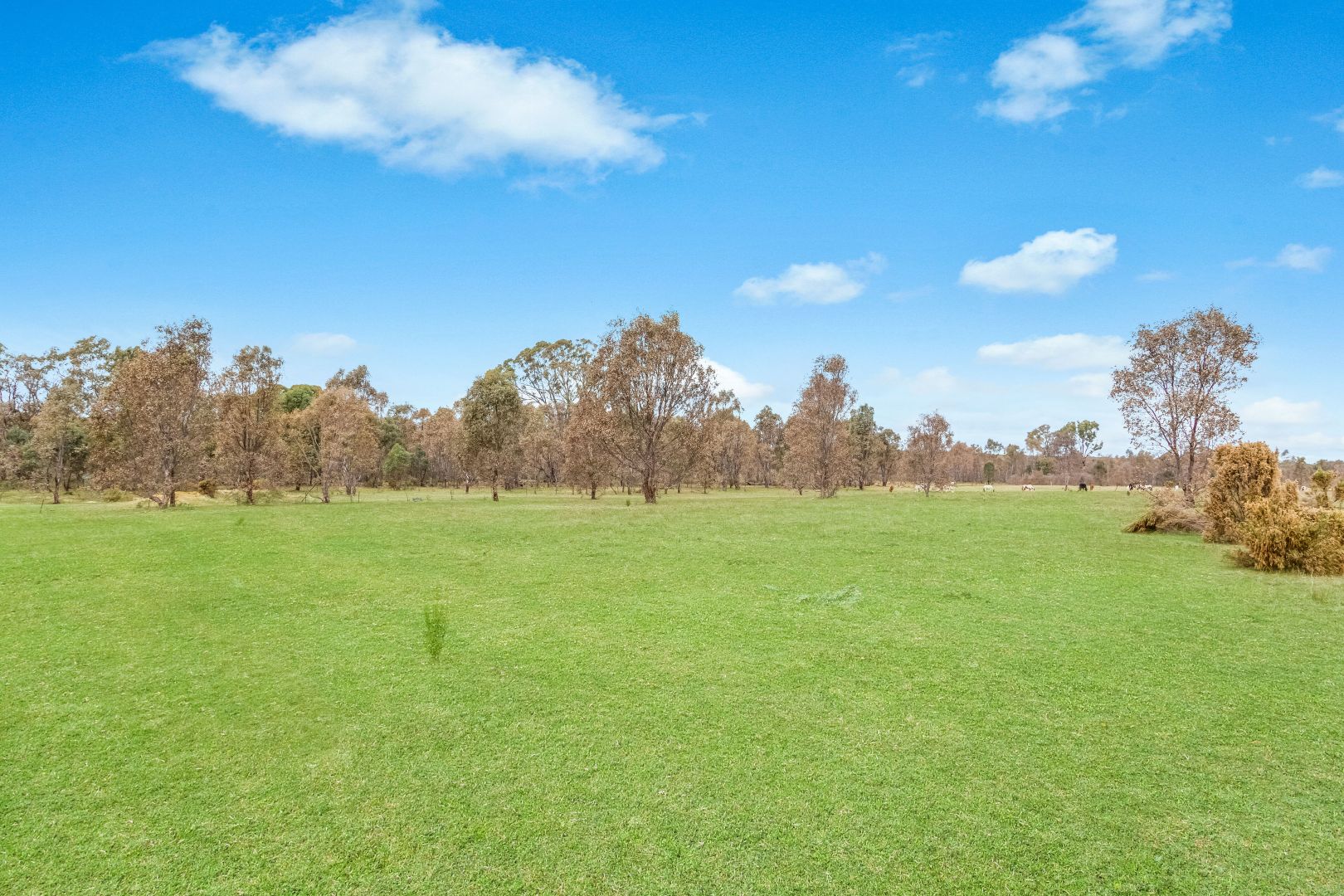 CA 17 Derrinal-Crosbie Road, Toolleen VIC 3551, Image 2