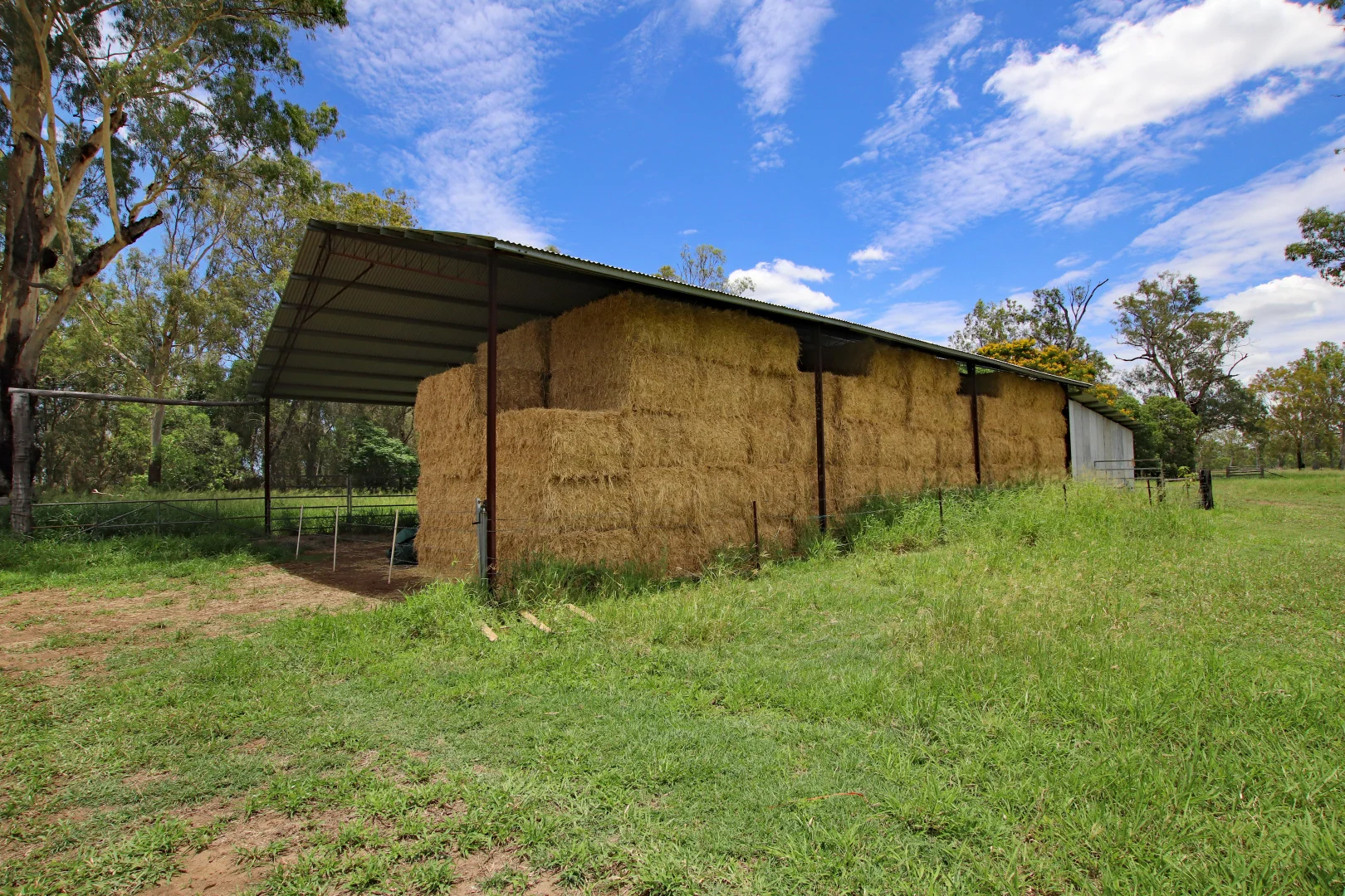 Image 14