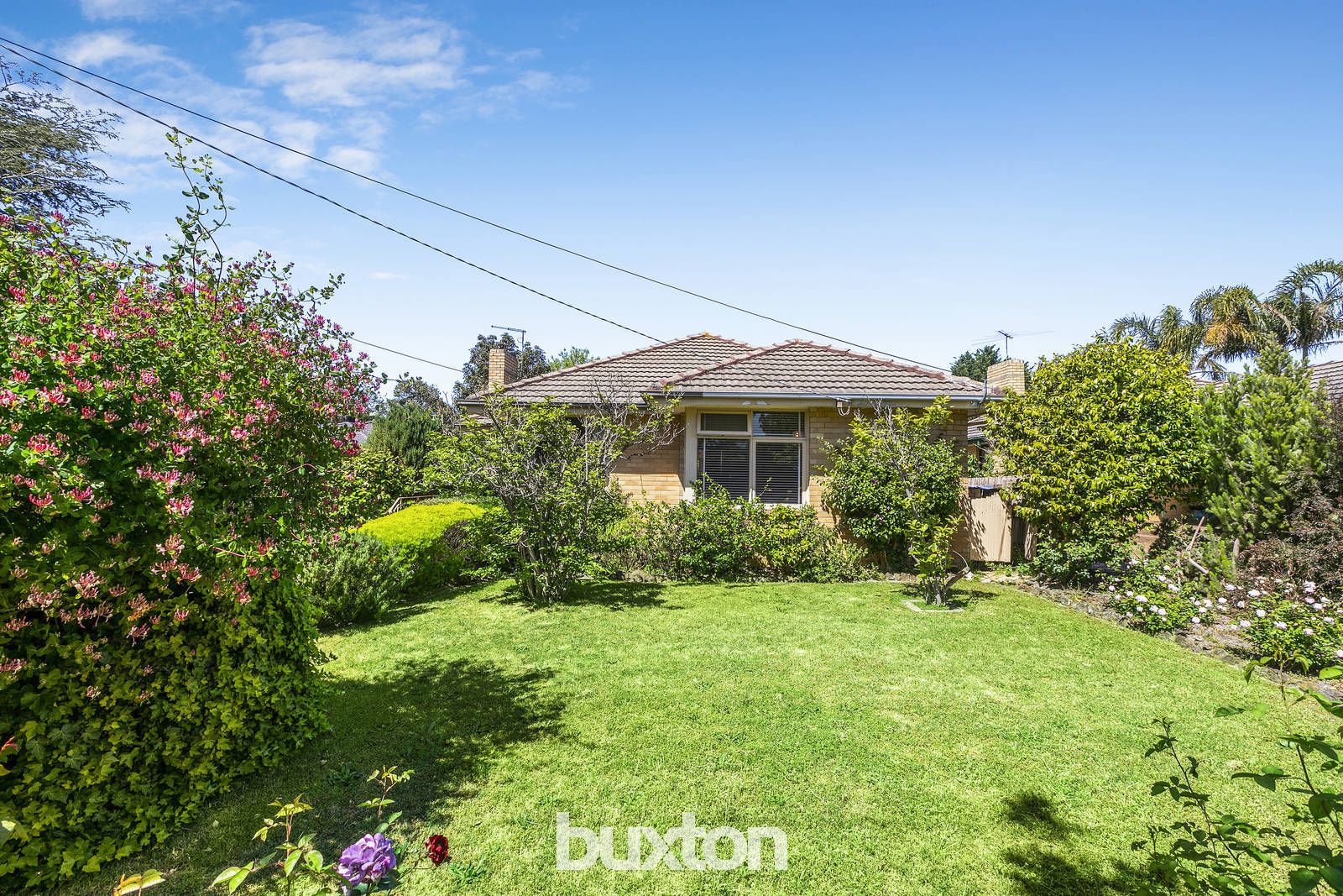 36 Acacia Avenue, Mentone VIC 3194, Image 0