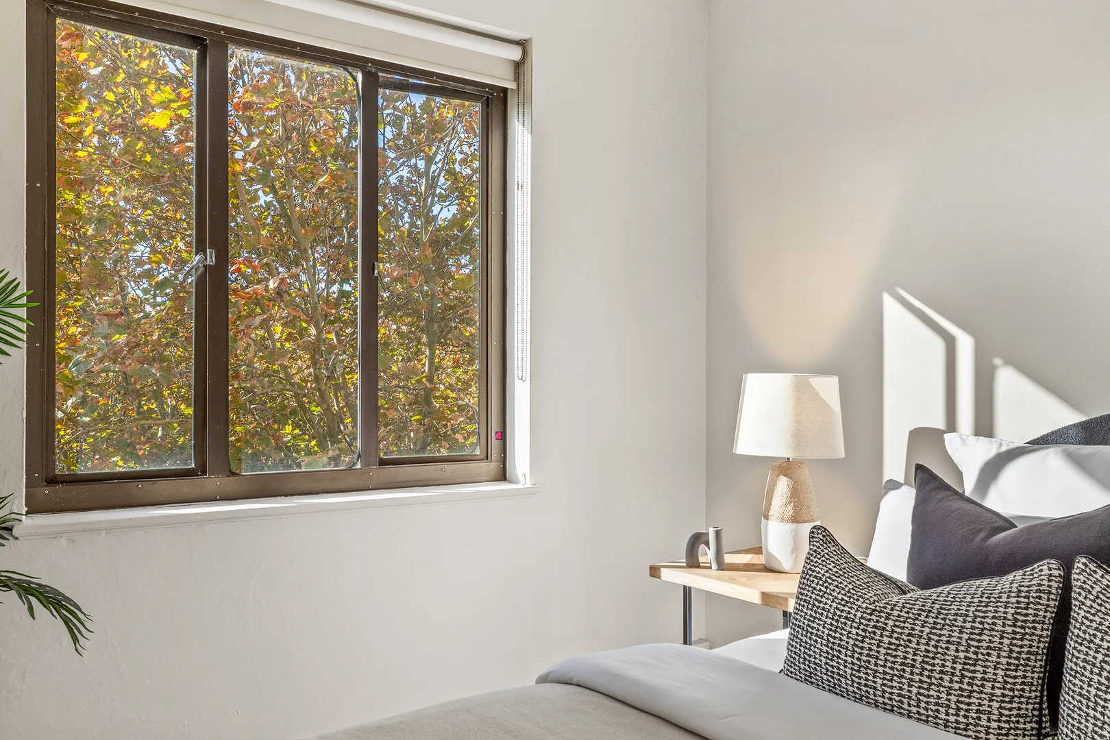 Additional image 13 of 62/117 Macleay Street, Potts Point NSW 2011