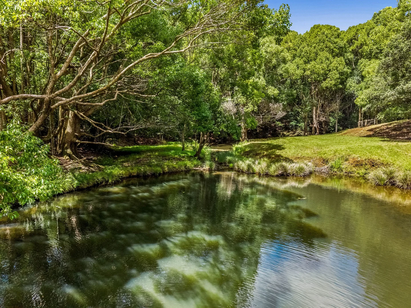Additional image 18 of 585 Bangalow Road, Talofa NSW 2481