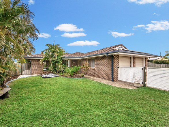 18 Palm Avenue, Raceview QLD 4305