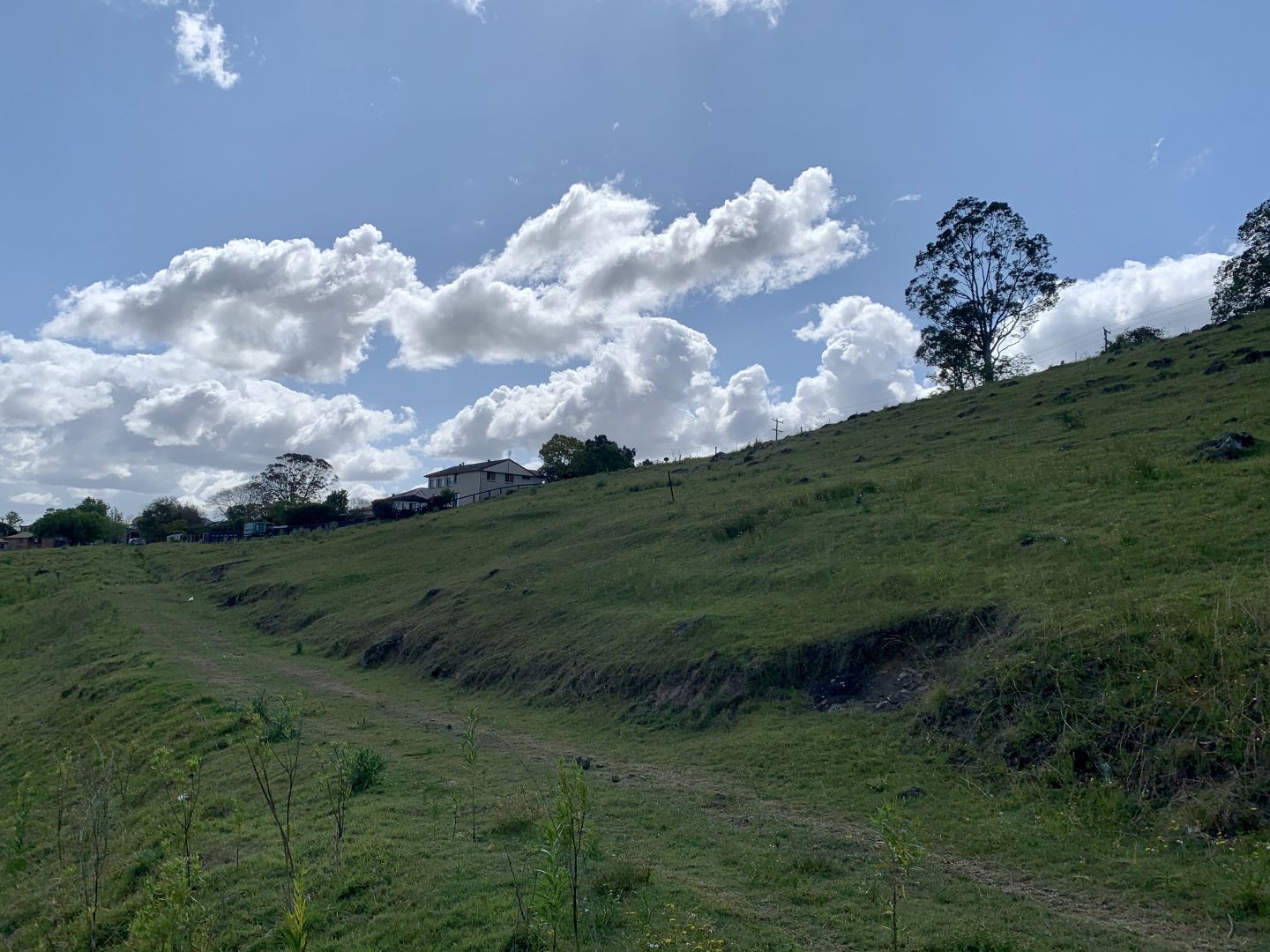 Lot 188 Mackay Street, Dungog NSW 2420, Image 2