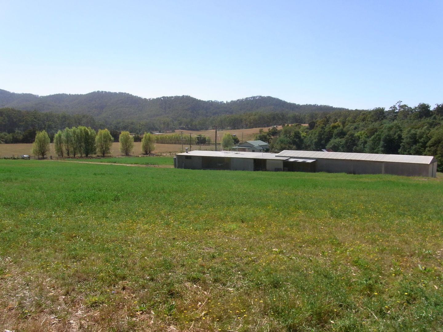 501 Upper Scamander Rd, Scamander TAS 7215, Image 1