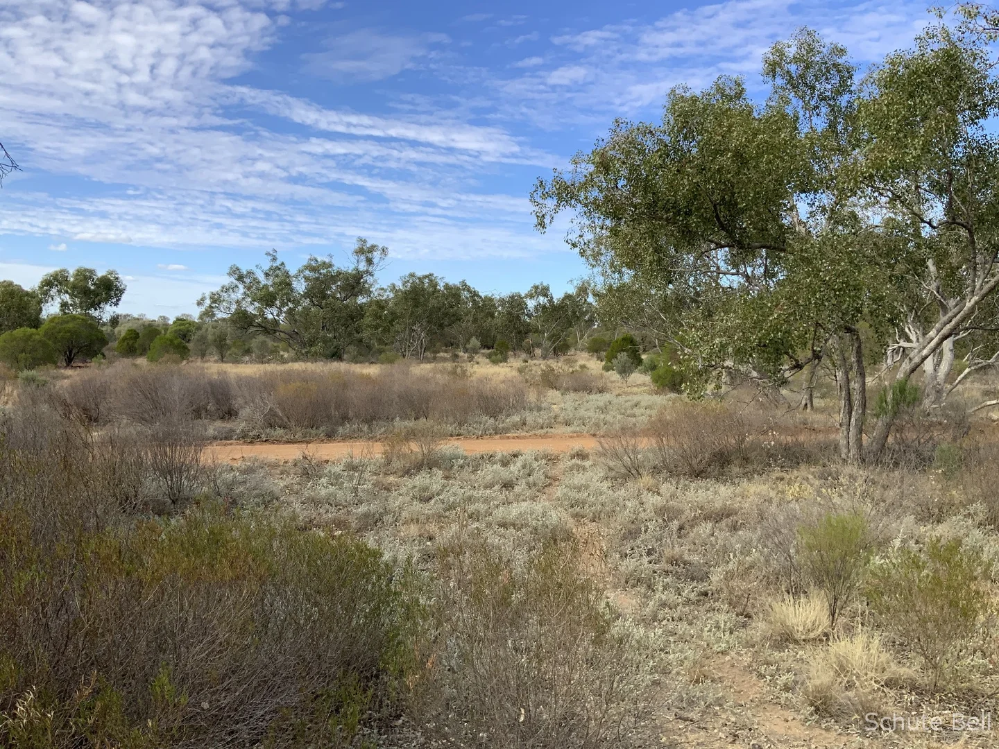 Image 31