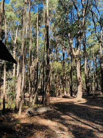 Image 12