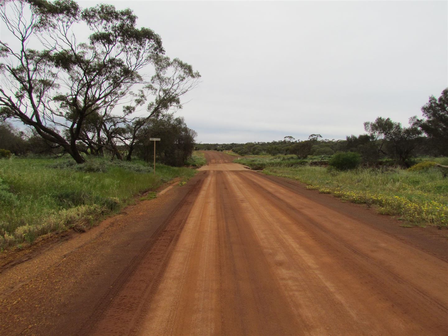 905 Wongoondy Tardun Road, Mullewa WA 6630 Farm for Sale Domain