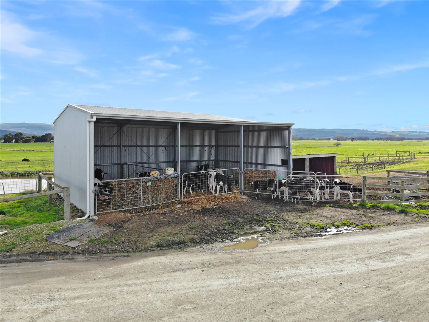 243 Buckleys Island Road, Yarram VIC 3971, Image 2