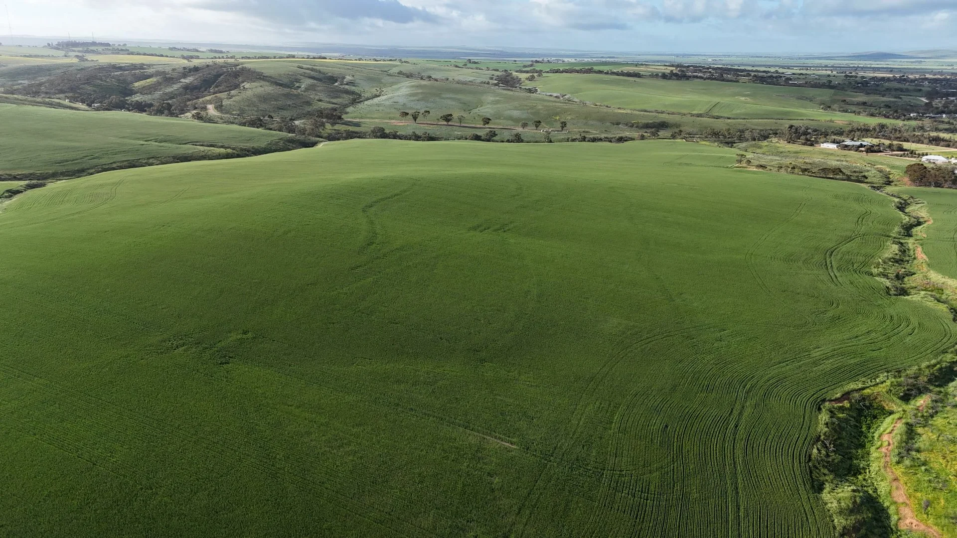 Additional image 5 of 'Crystal Valley' Talbots Road, Crystal Brook SA 5523