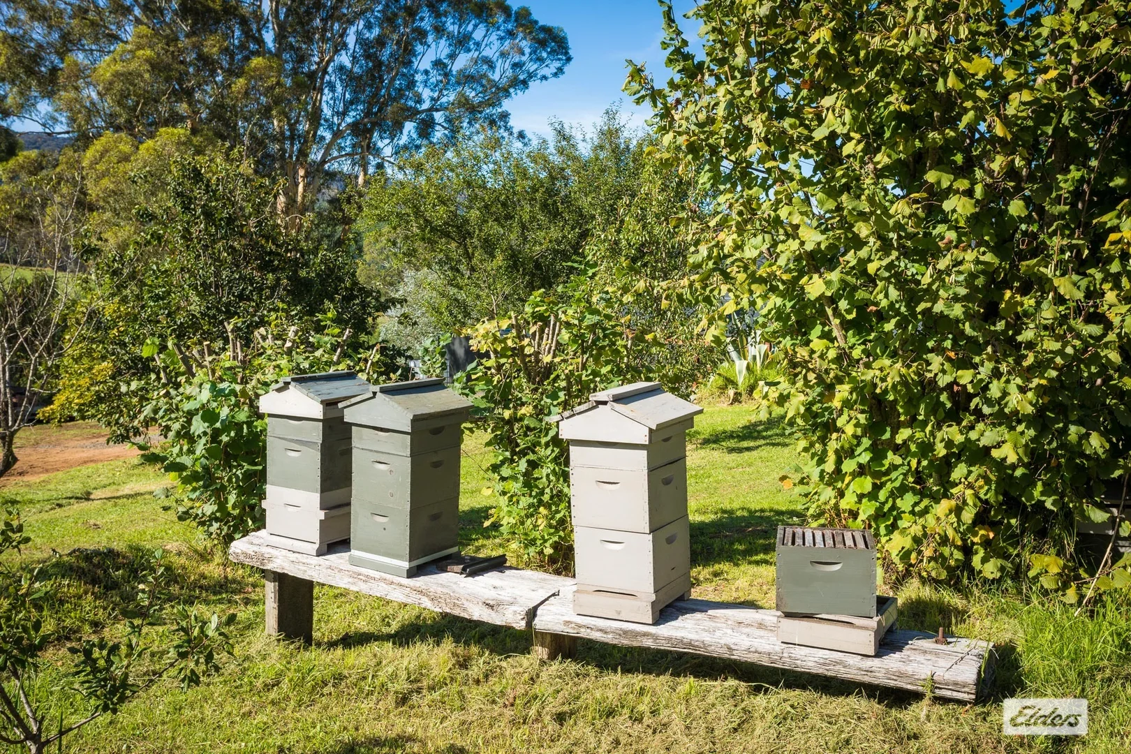 Additional image 38 of 613 New Buildings Road, Wyndham NSW 2550