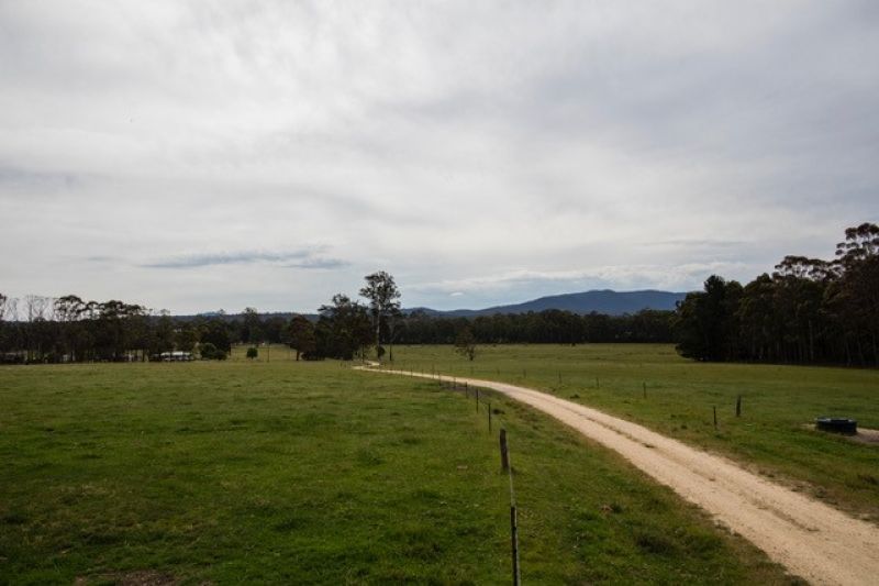 55 Hadfield Road, Cann River VIC 3890, Image 2