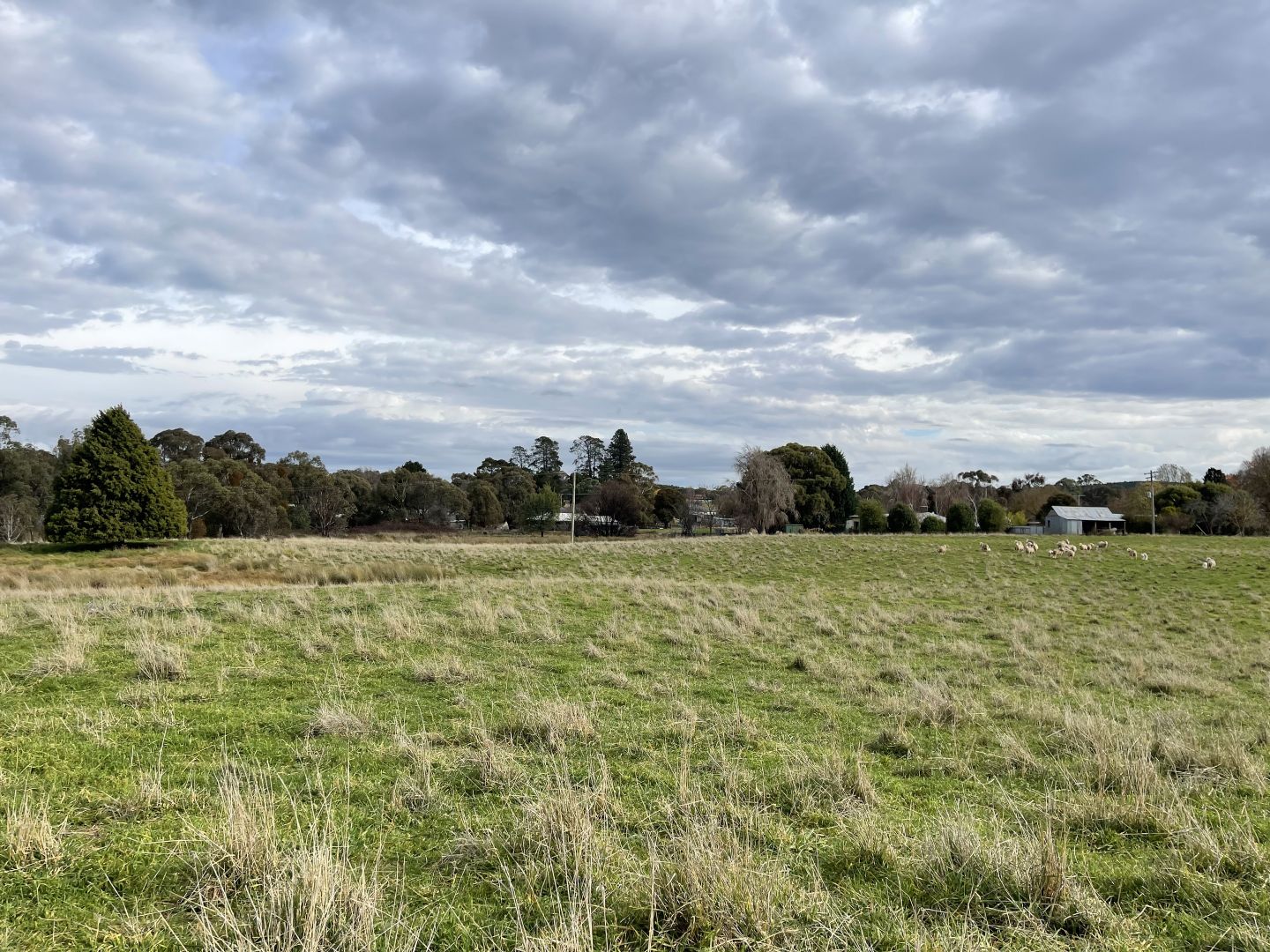 Lot 138 Chisholm Street, Tumbarumba NSW 2653, Image 2