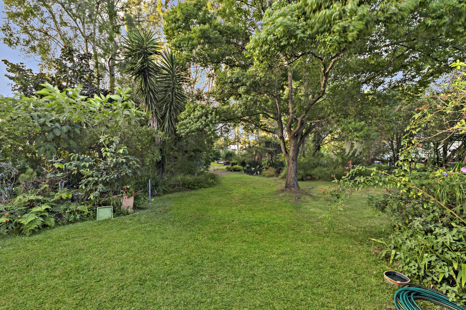 Image 10