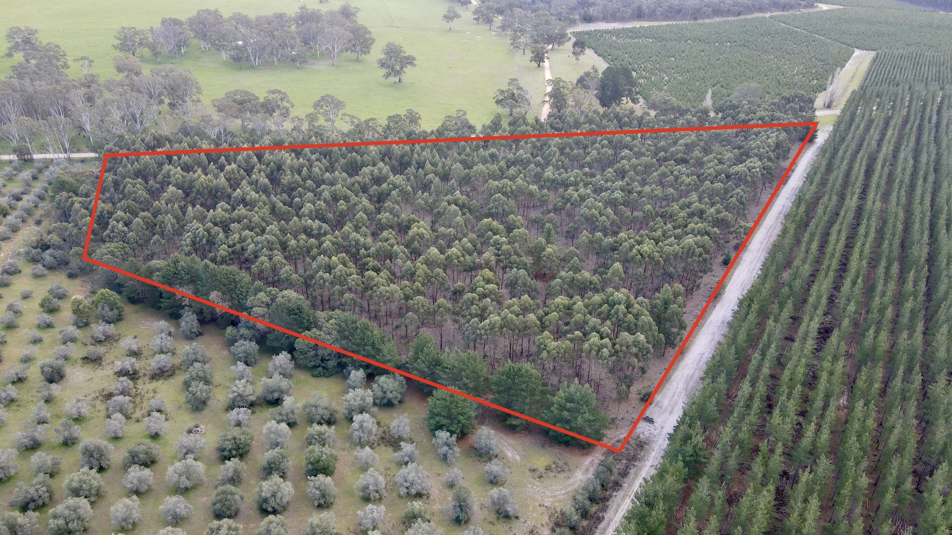 Lot 81 Old Comaum Road, Coonawarra SA 5263, Image 2