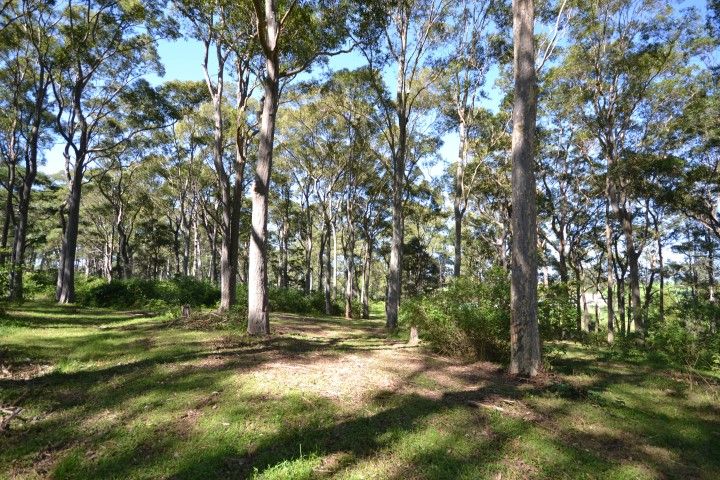 Lot 11 Devitts Lane, MEROO MEADOW NSW 2540, Image 1