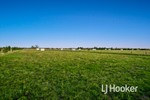 Image 14