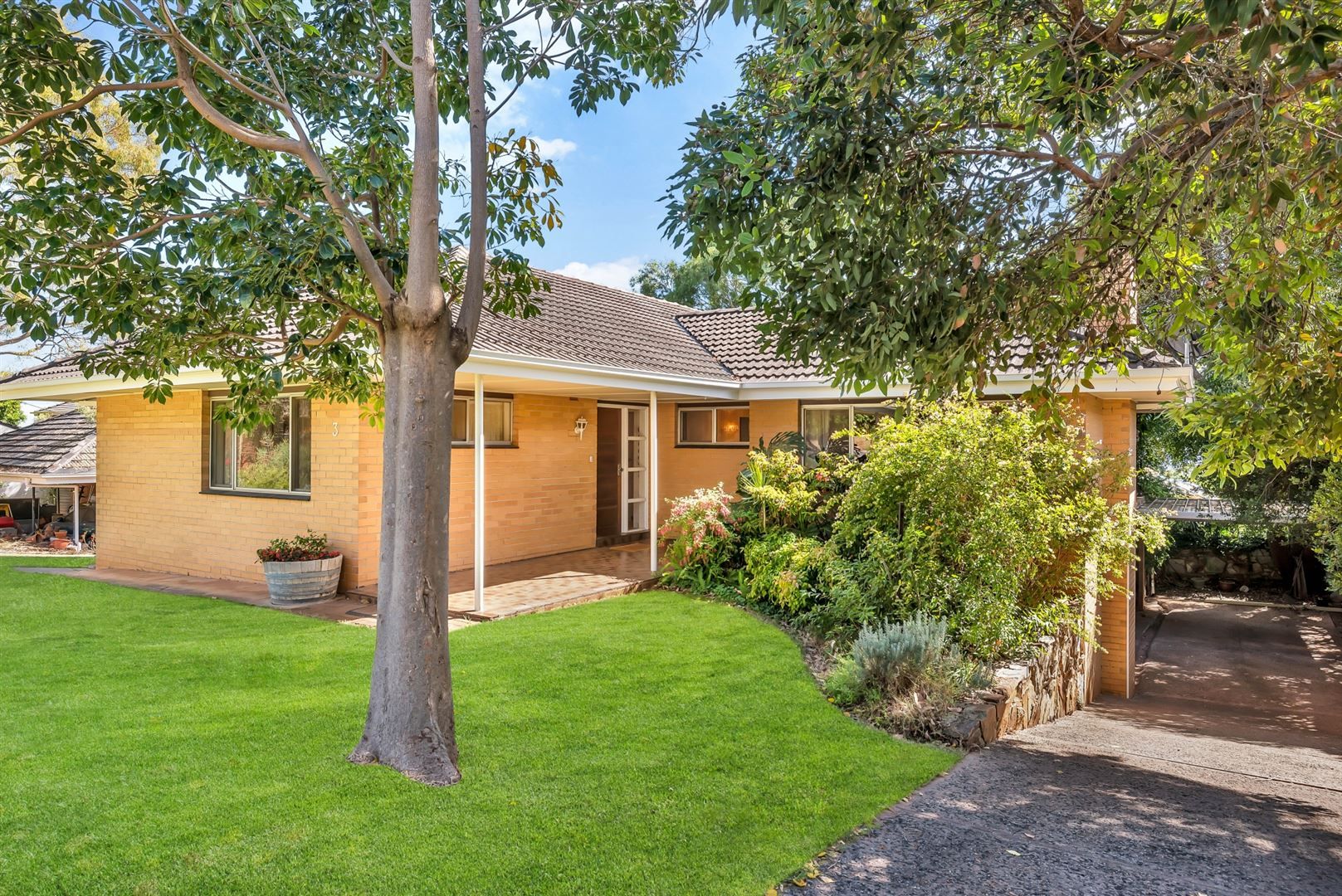 3 Toolaby Avenue, Beaumont SA 5066, Image 0