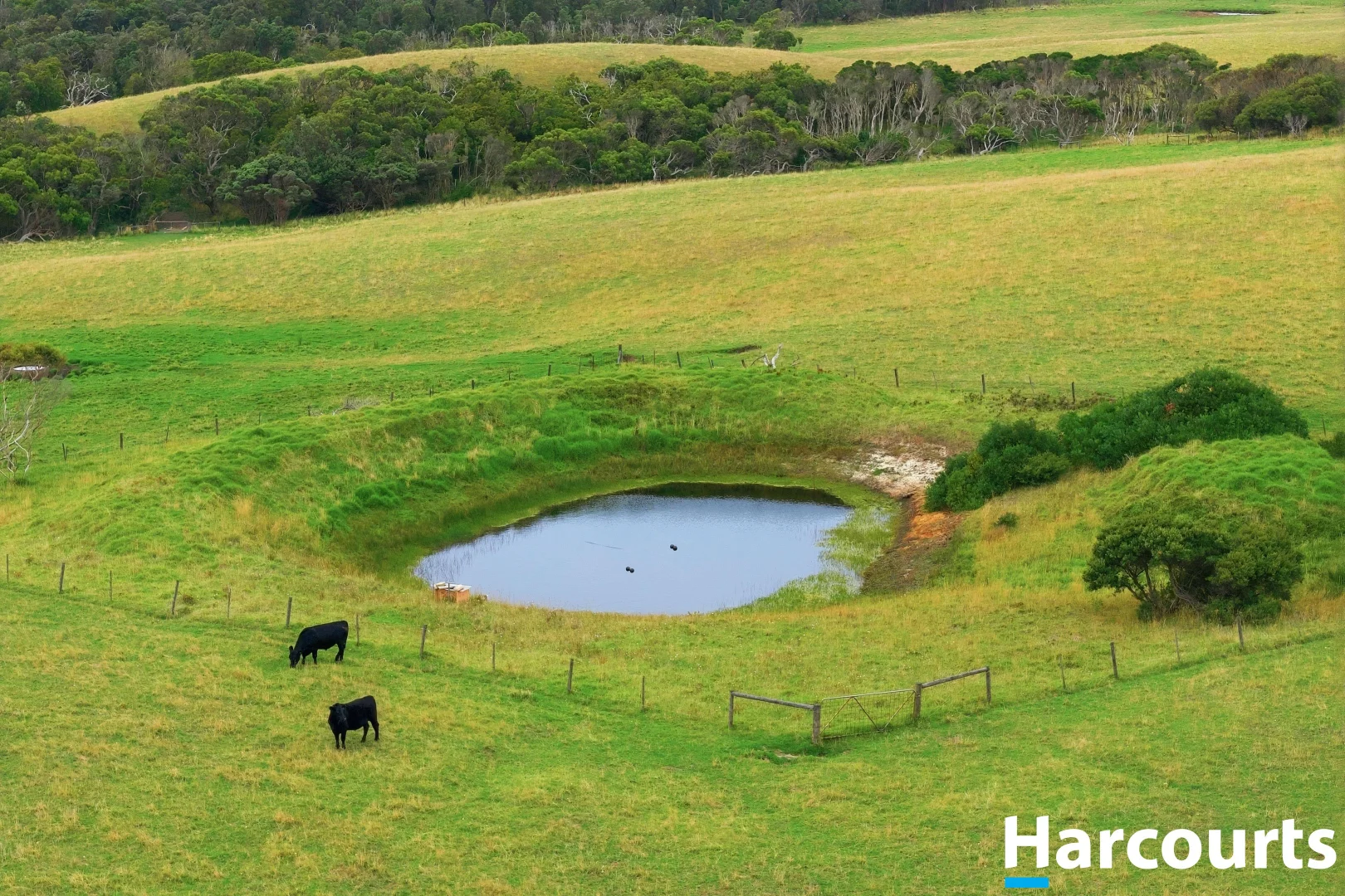 Additional image 33 of 80 Munbilla Road, Tarwin Lower VIC 3956