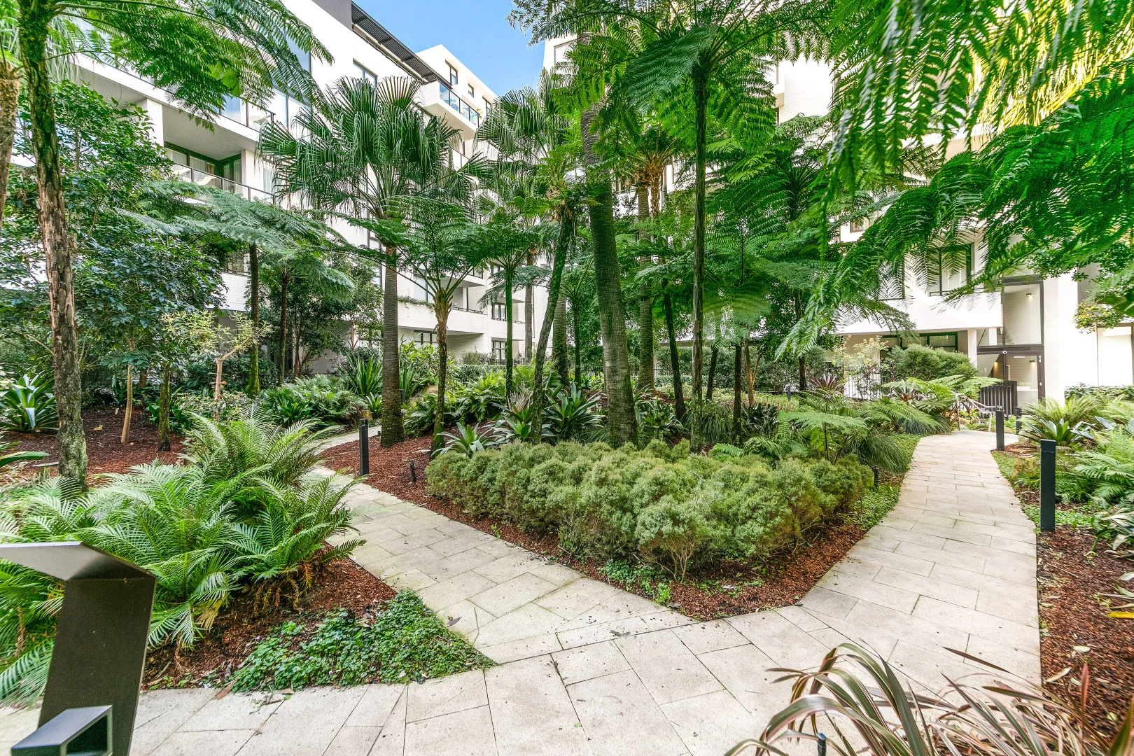 Additional image 10 of 3708/5 Gadigal Avenue, Waterloo NSW 2017