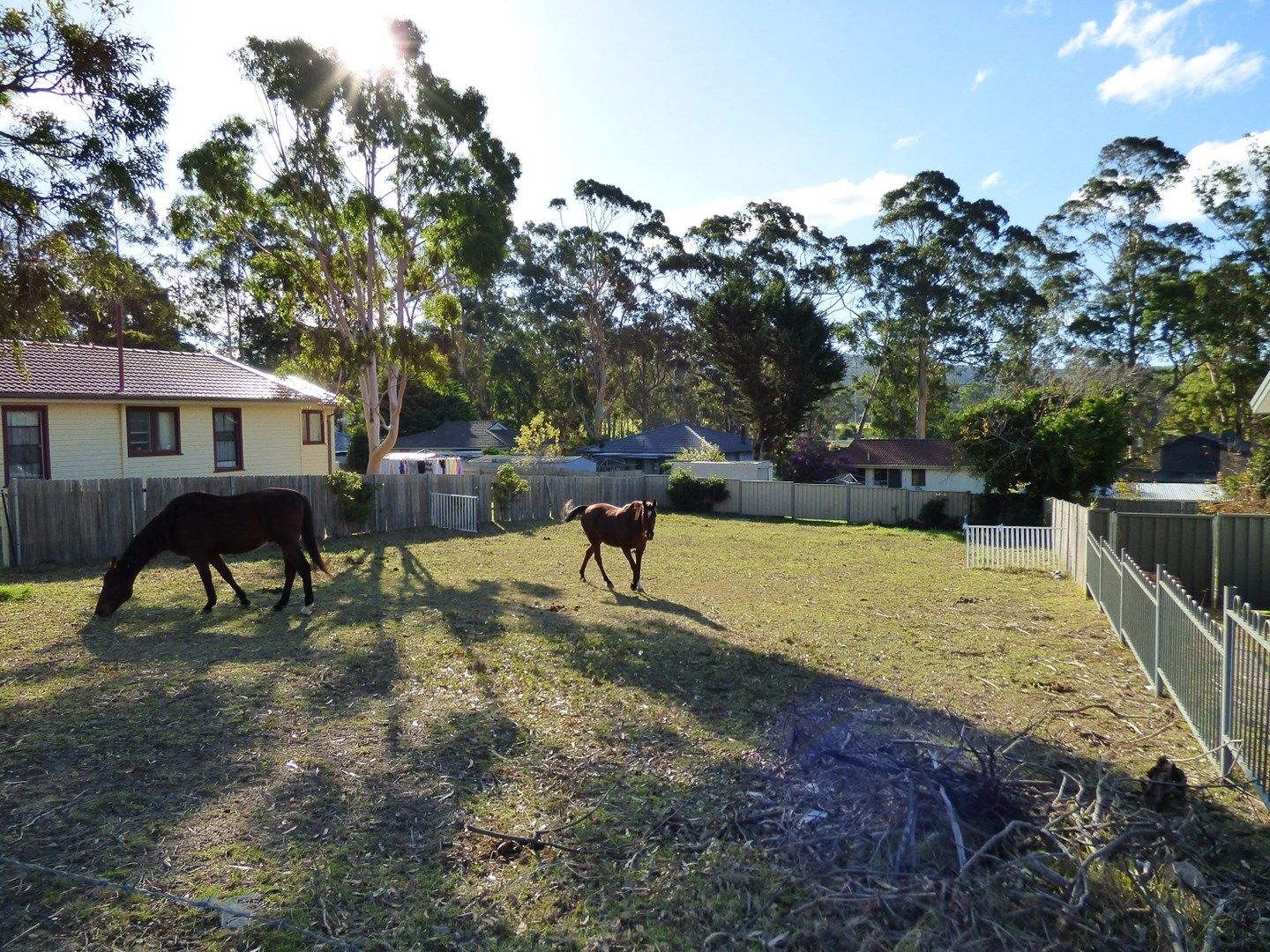 23 Moorehead Street, Eden NSW 2551, Image 0