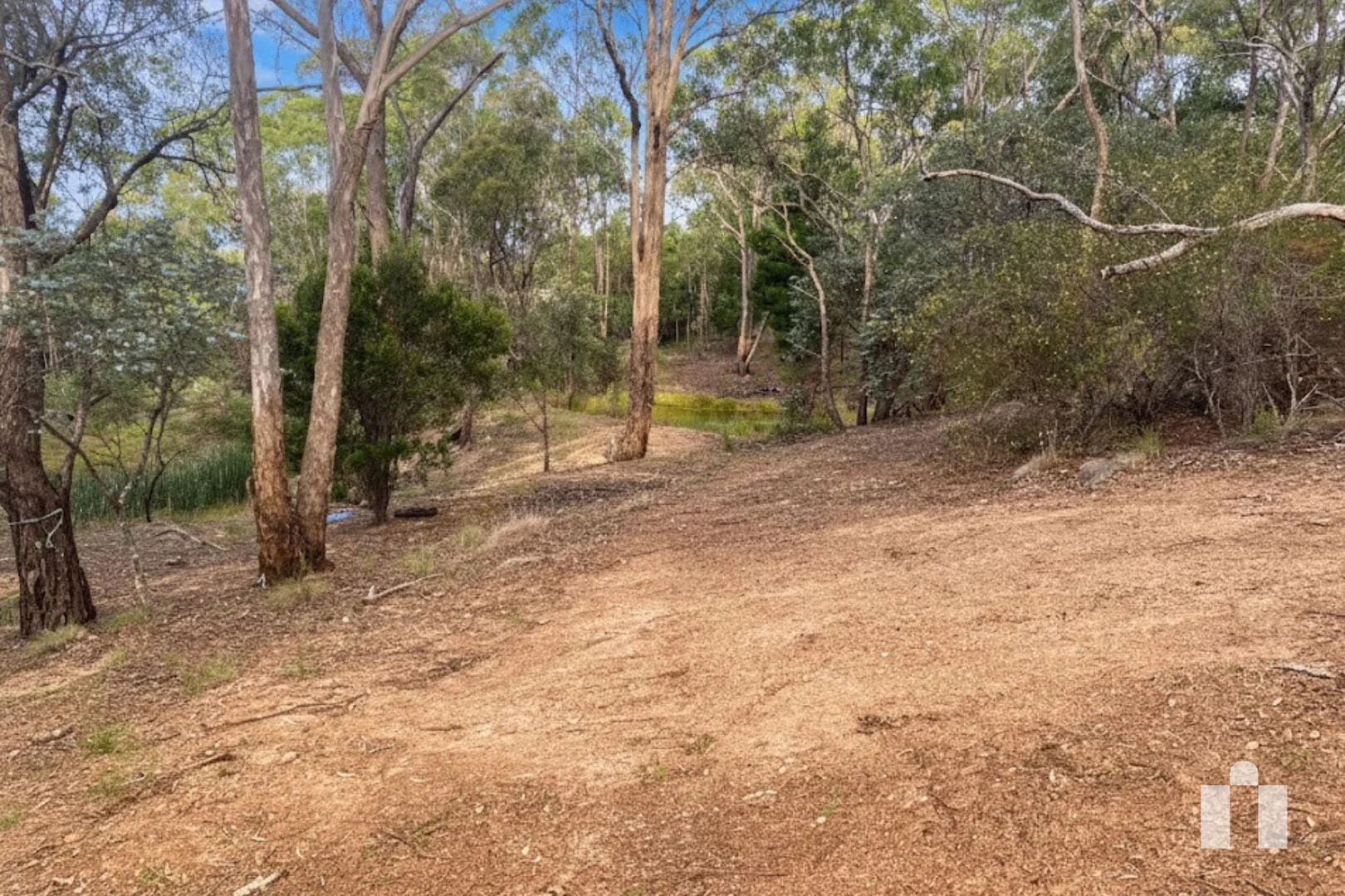 Image 13