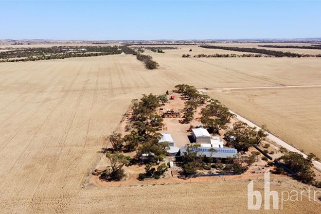 Picture of 23 Punthari Road, ANGAS VALLEY SA 5238