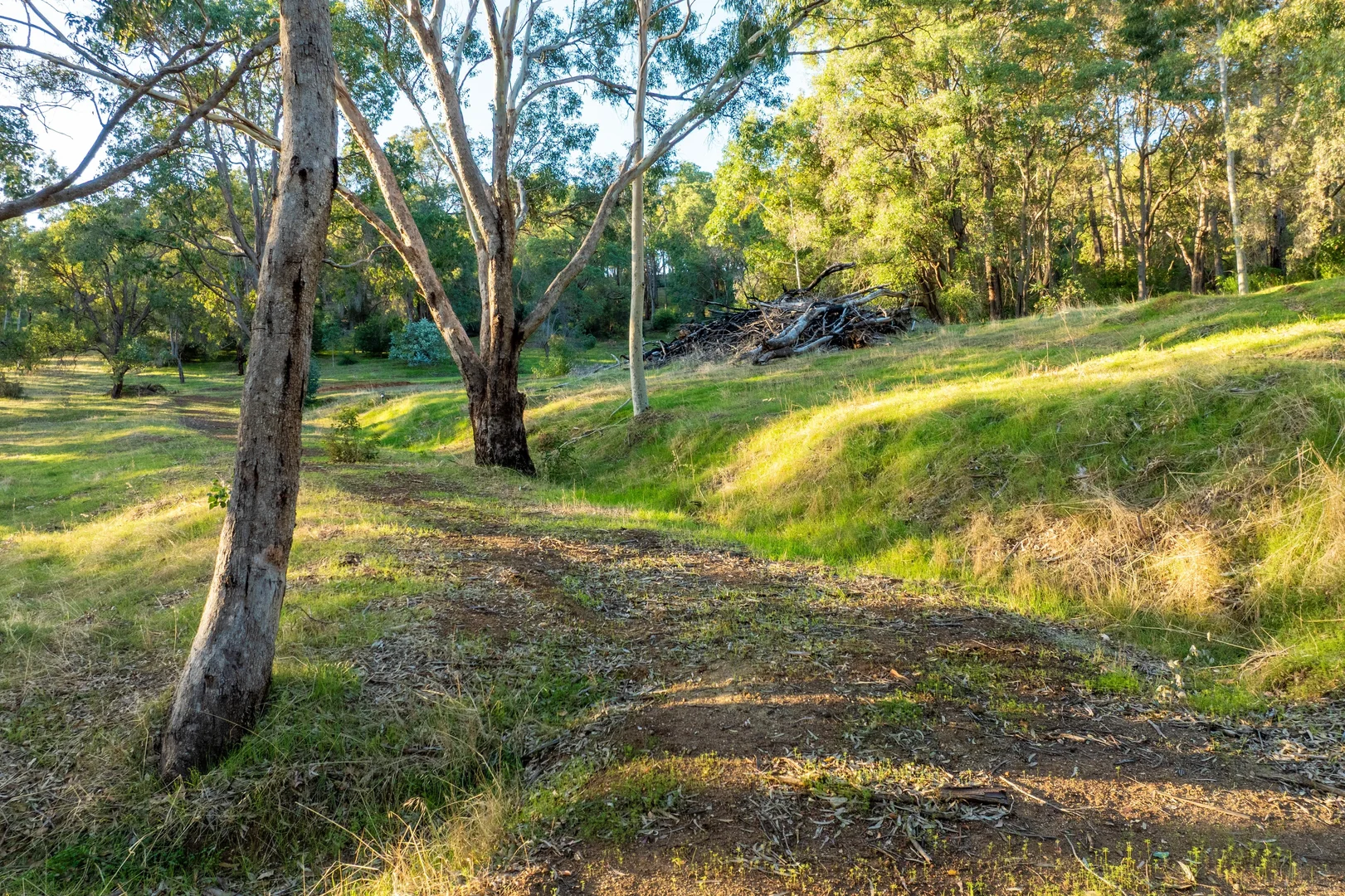 Image 12