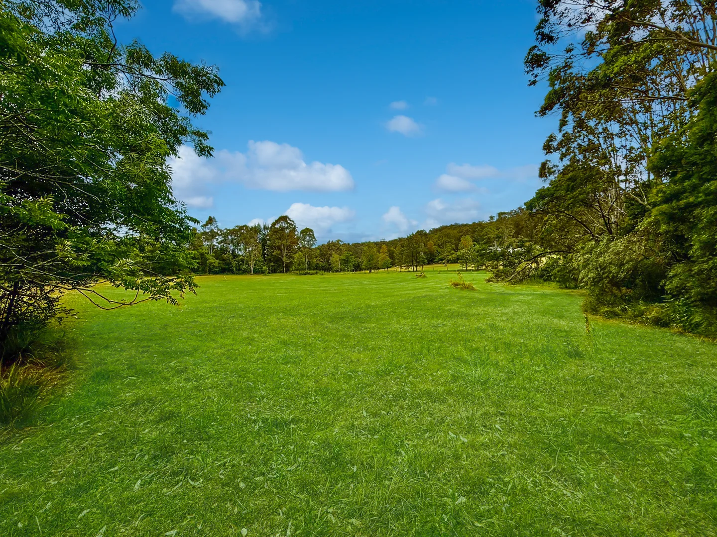 Additional image 5 of Lot 12 & 13 Narone Creek Road, Wollombi NSW 2325