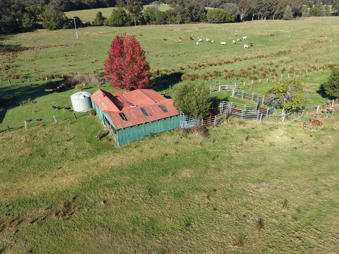 Image 16