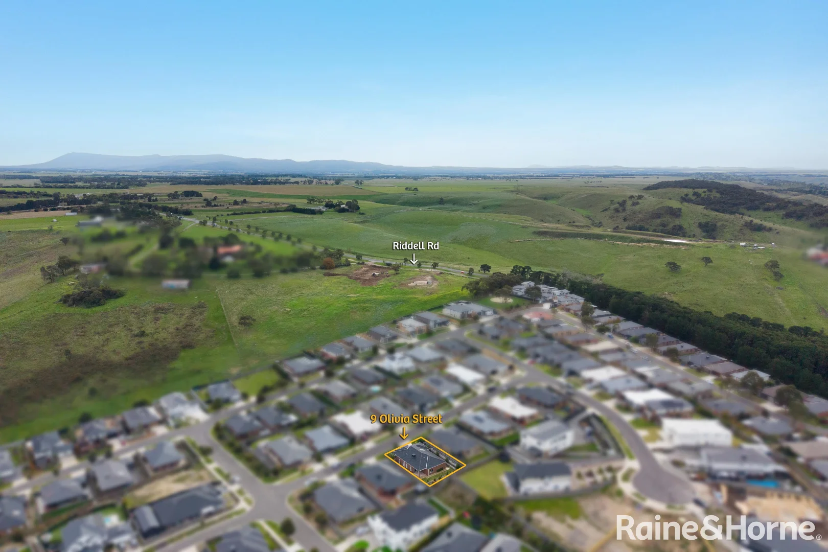 Image 24