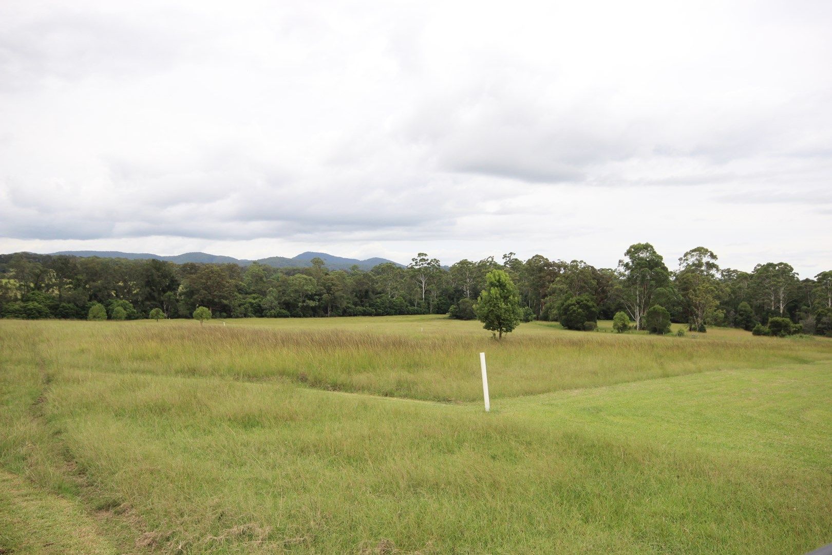 Lot 15 Beechwood Meadows, Beechwood NSW 2446, Image 0