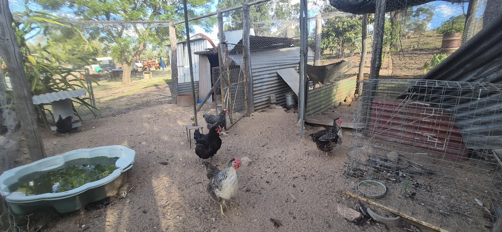 Additional image 40 of 21 Neale Road, Kingaroy QLD 4610