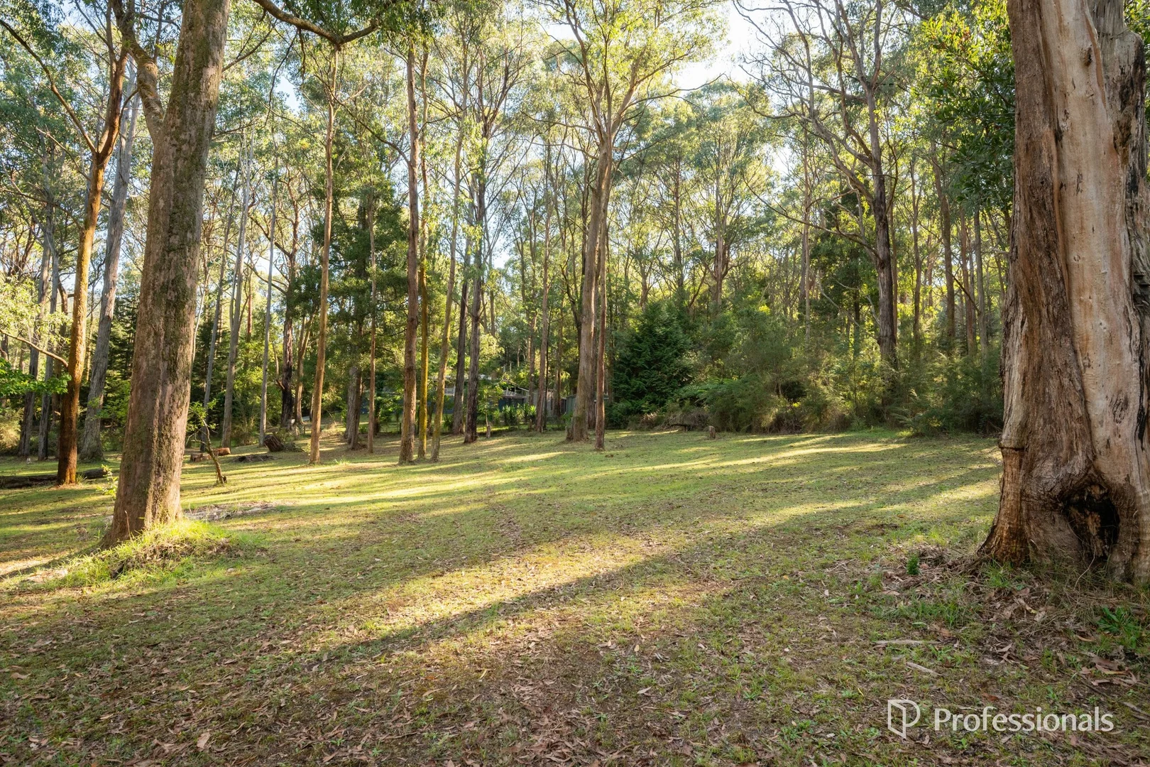 Additional image 21 of 4 Fisherman Drive, Reefton VIC 3799